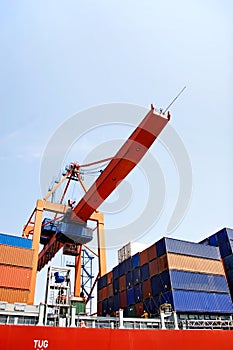 Containers under crane