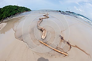 Containment Boom and absorbent paperon the sand beach that covered with Crude Oil on oil spill accident on Ao Prao Beach at Samet.