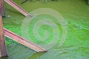 Contaminated watercourse photo