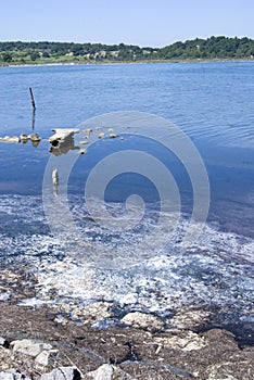 Contaminated sea water photo