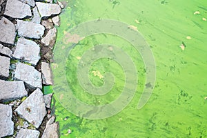 Contaminated watercourse