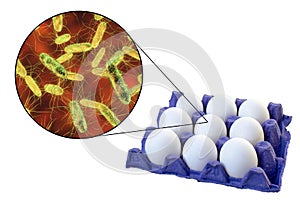 Contamination of eggs with Salmonella bacteria, medical concept for transmission of salmonellosis photo