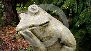 Contemplating Frog Cement Statue in Garden