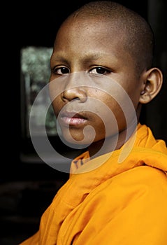 Contemplating Monk in Cambodia Traditional Concept