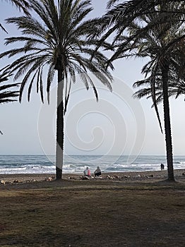 Contemplating the sea  -alamos beach-Torremolinos