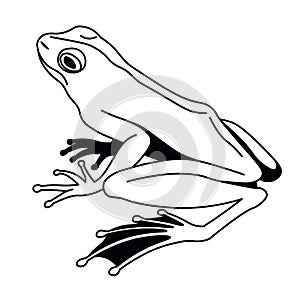 Contemplative Frog Vector Illustration