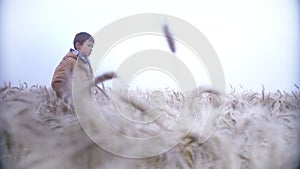 Contemplative Wanderer: Boy Strolling through a Misty Wheat Field in Cozy Attire