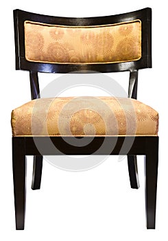 Contemporary Accent Living Room Chair