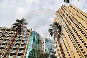 contemporary architecture, in conjunction with palm trees, seen through a wide-angle