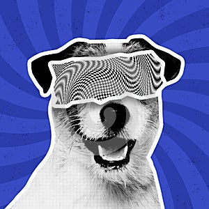 Contemporary art collage with black and white dog with an optical illusion eyewear over blue blackground.