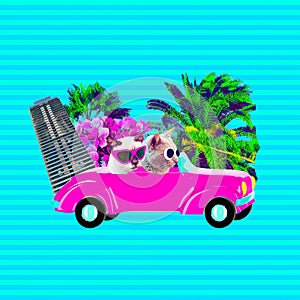 Contemporary art collage. Funny Cats travel on retro car. Vacation vibes
