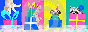 Contemporary art collage. Modern creative funny artwork. Set made of posters of funny pets, dogs and racoon with