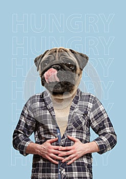 Contemporary art collage or portrait of positive dog headed man. Modern style pop art zine culture concept.