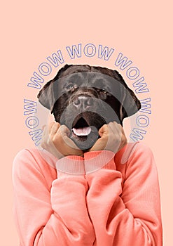 Contemporary art collage or portrait of surprised dog headed woman. Modern style pop art zine culture concept.