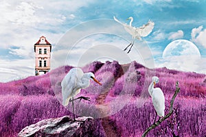 Contemporary art collage of white birds on surreal landscape