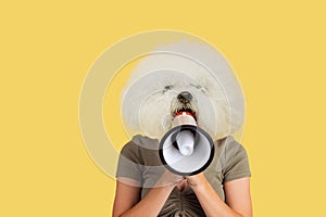 Contemporary artwork, conceptual collage. Young girl headed by white fluffy dog head isolated shouting at megaphone