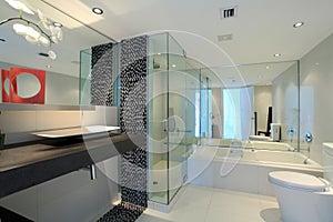 Contemporary Bathroom