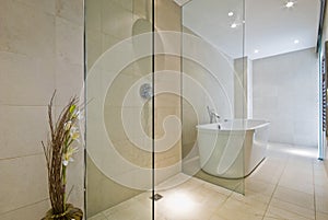 Contemporary bathroom