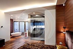 Contemporary Bedroom And Bathroom