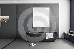Contemporary bathroom with blank poster
