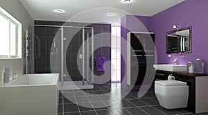 Contemporary Bathroom Interior
