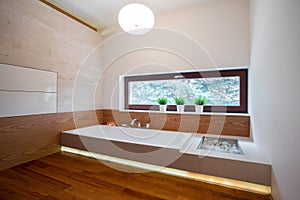 Contemporary bathtub in wooden bathroom