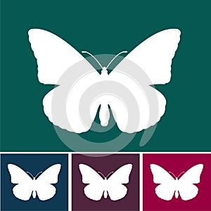 Contemporary Butterfly design