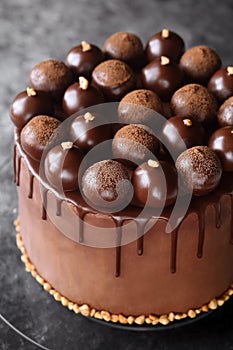 Contemporary Chocolate Truffle Layer Cake