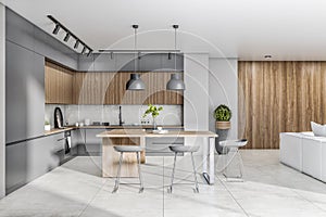 Contemporary concrete and wooden kitchen studio interior with daylight, furniture and white couch. Design, home and apartment