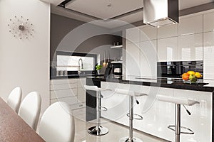 Contemporary decor of kitchen