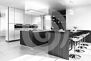 Contemporary Designed Kitchen B&W