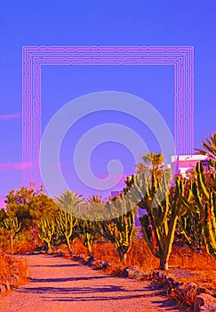 Contemporary digital collage art. Cactus, tropical location and geometry sketch mix. Fashion zine design