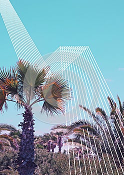 Contemporary digital collage art. Palm, tropical location and geometry mix. Fashion zine design