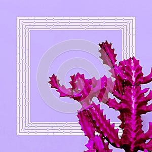 Contemporary digital collage art. Purple Cactus and geometry mix. Fashion zine design