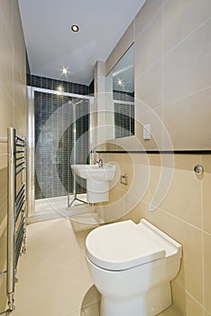 Contemporary en-suite bathroom in beige