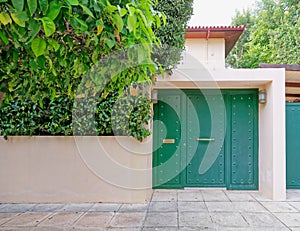 A Contemporary family house entrance vibrant green door and foliage fence by the sidewalk.