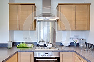 Contemporary Kitchen