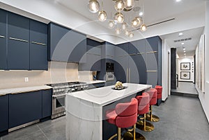 Contemporary kitchen with  blue cabinets and a marble countertop