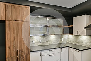 Contemporary kitchen cabinet ensemble