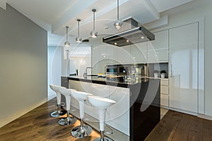 Contemporary kitchen with designer chairs