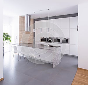 Contemporary kitchen interior