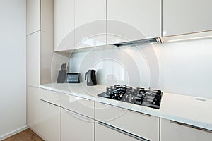 Contemporary kitchen interior