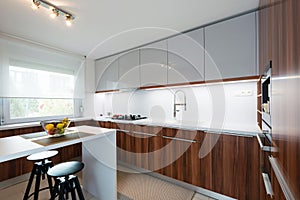 Contemporary kitchen interior