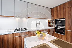 Contemporary kitchen interior