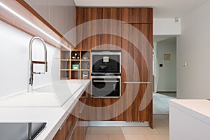 Contemporary kitchen interior