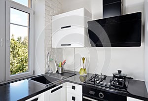 Contemporary Kitchen with Light Oak Facade and Dark Countertop