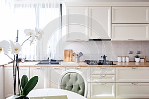 Contemporary kitchen with modern furniture and flower. interior design modern