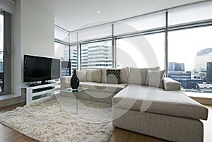 Contemporary living room with designer furniture