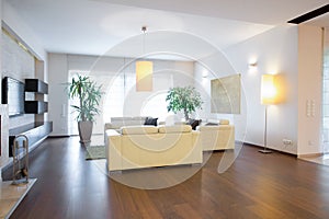 Contemporary living room photo