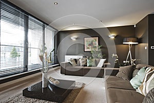 Contemporáneo de lujo, sala de estar con altas prestaciones de mobiliario y decoración.